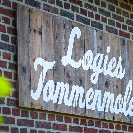 Logies Tommenmolen Apartment Grimbergen Exterior photo